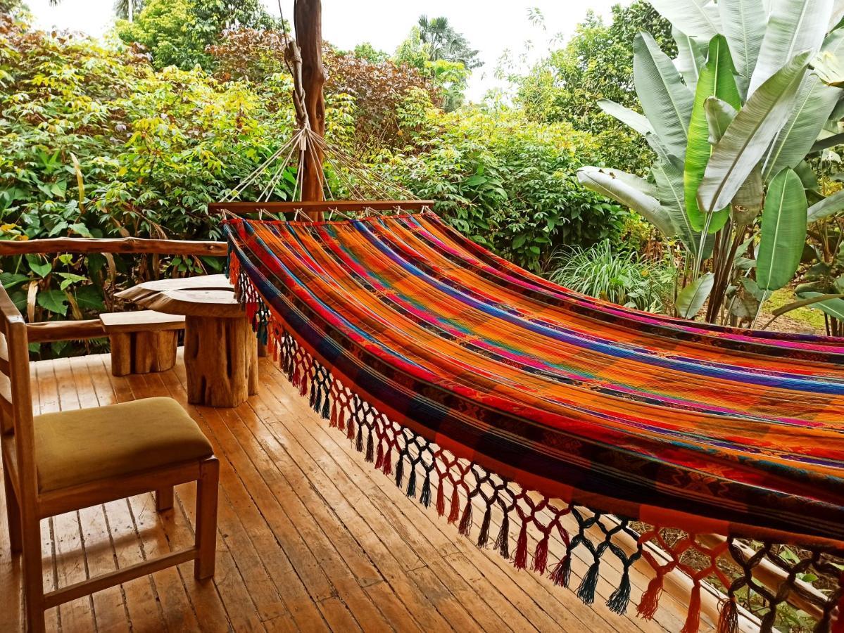 Rio Napo Lodge Puerto Misahuallí Exteriör bild